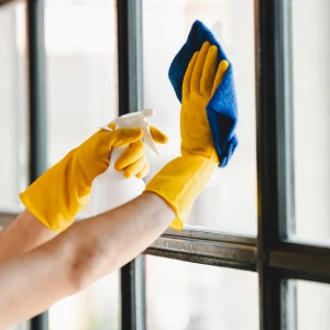 A maid is cleaning a window.
