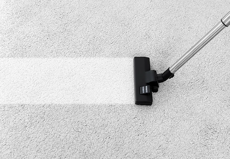 A vacum mark on the carpet.