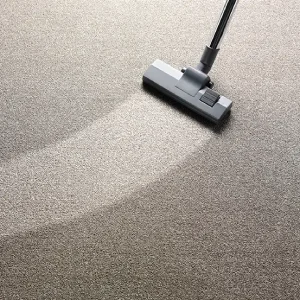 A vacum mark on the carpet.