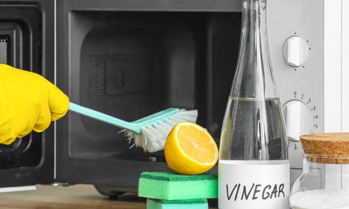 Basic Cleaning Tools for Microwave