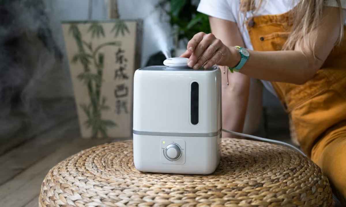 Clean a Humidifier